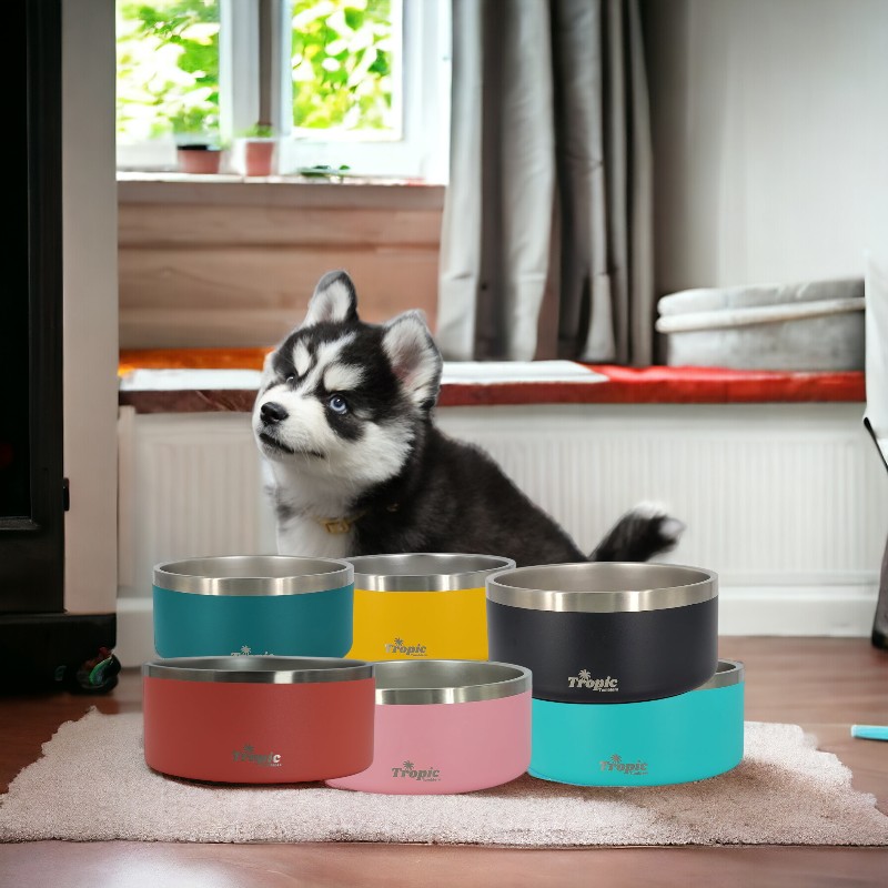 Milo with pet bowls-