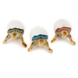 Nothing Shy About This Assorted Figurine of a Baby Sea Turtle Hatchling Coming Out of It’s Egg Shell – Made of Cast Resin with Contrasting Textures of Dull and Shiny for a Nice Souvenir from the Seashore.